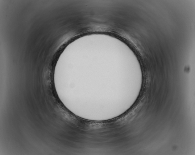 X0000101681211200808071101