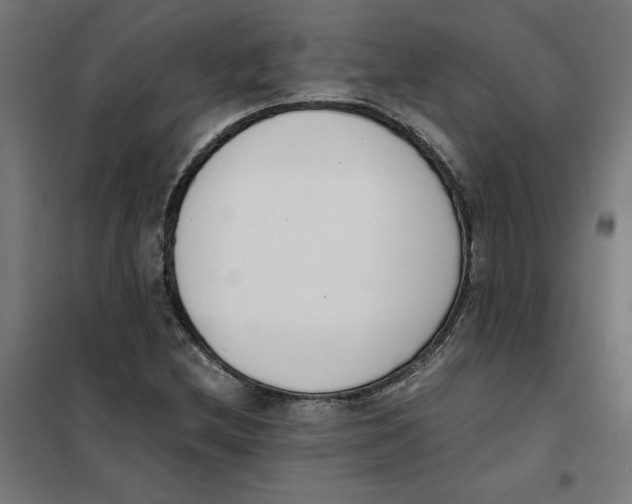 X0000101681212200808071101