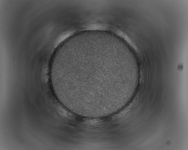 X0000101681213200808071101