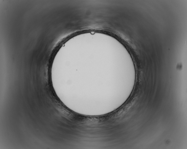 X0000101681214200808071101