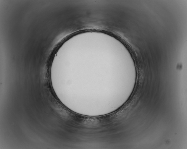 X0000101681215200808071101