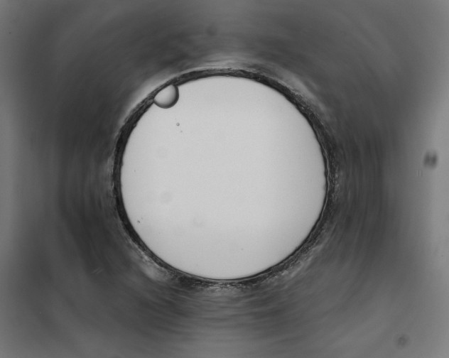 X0000101681216200808071101