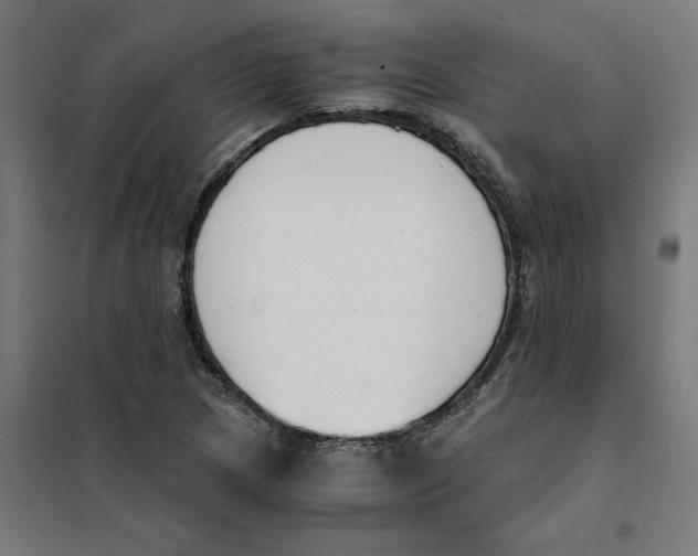 X0000101681217200808071101
