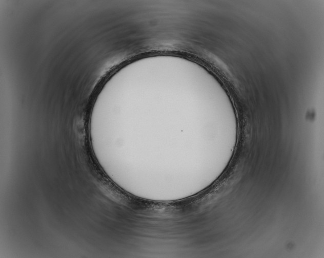 X0000101681218200808071101