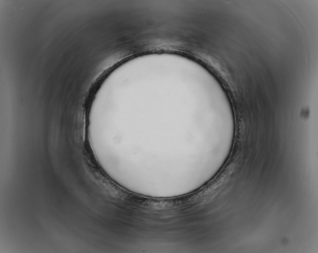 X0000101681219200808071101