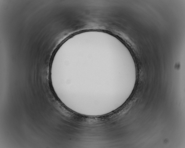 X0000101681220200808071101