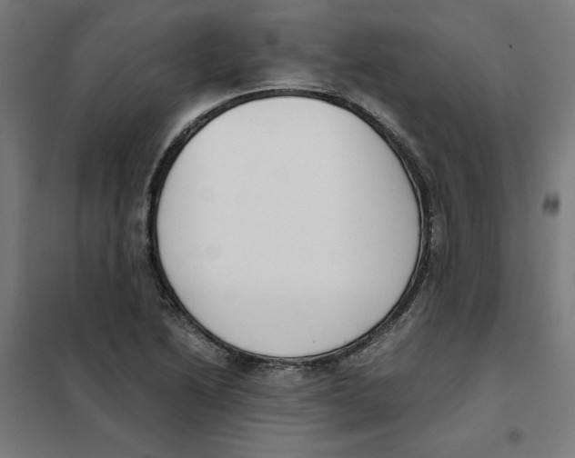 X0000101681222200808071101