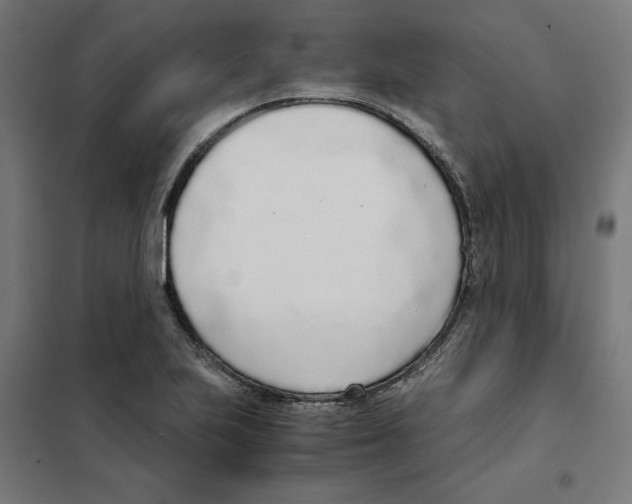 X0000101681223200808071101