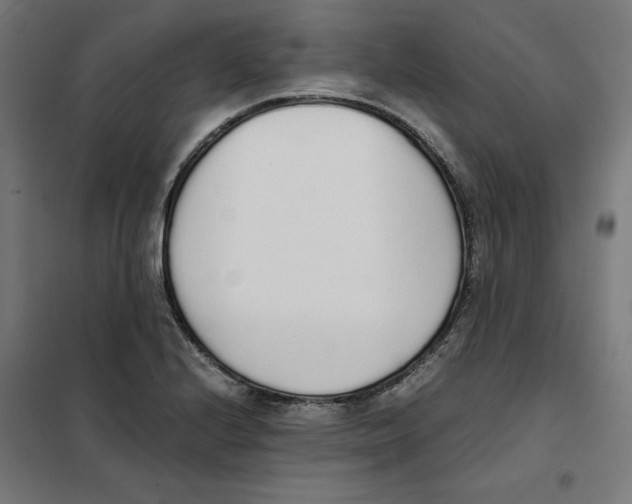 X0000101681224200808071101