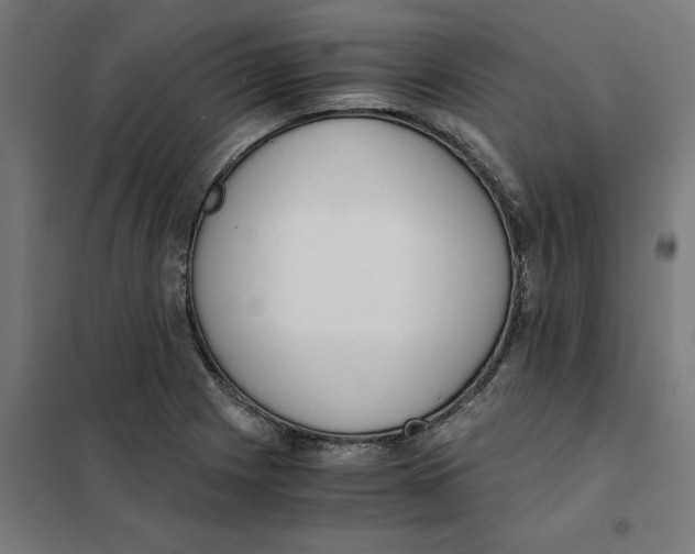 X0000101681225200808071101
