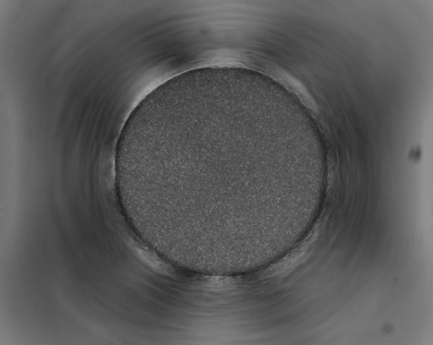 X0000101681226200808071101