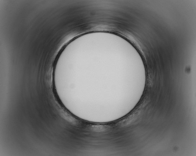 X0000101681227200808071101