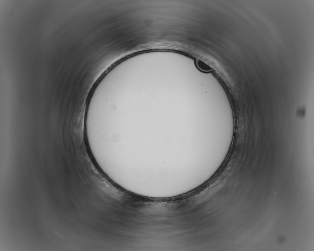 X0000101681228200808071101