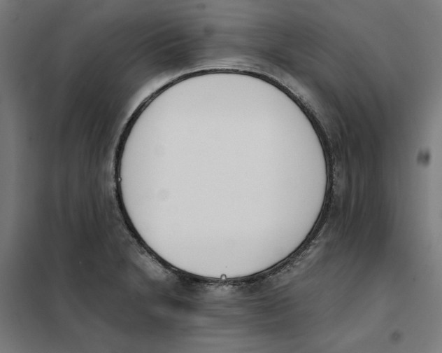 X0000101681230200808071101