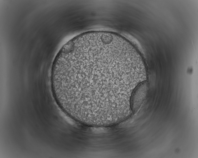 X0000101681231200808071101