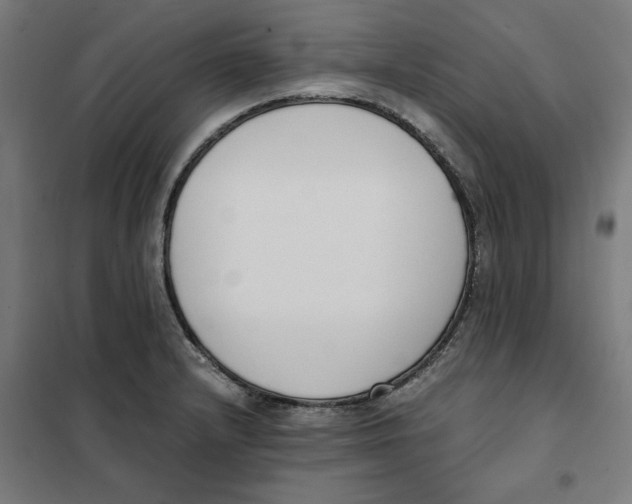 X0000101681232200808071101