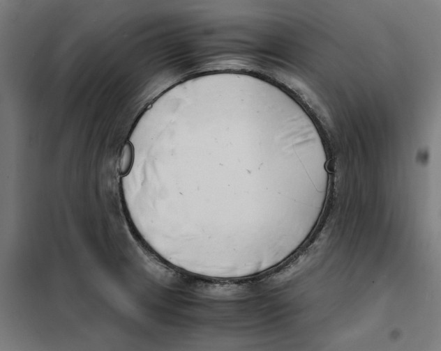 X0000101681233200808071101