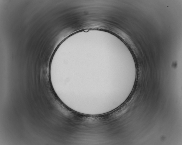 X0000101681234200808071101