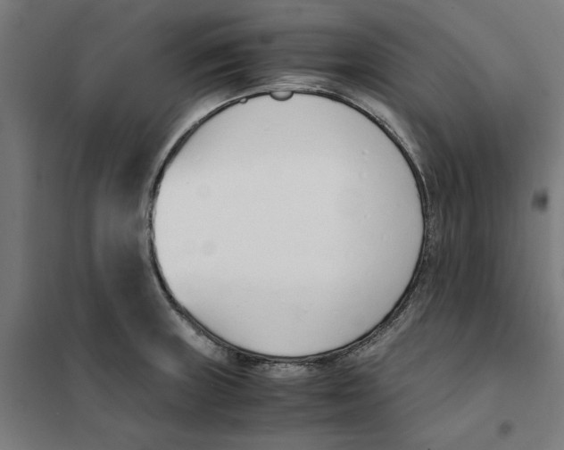 X0000101681235200808071101