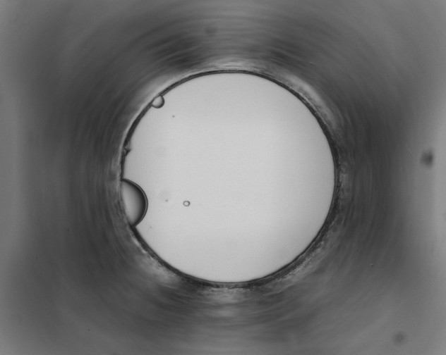 X0000101681236200808071101