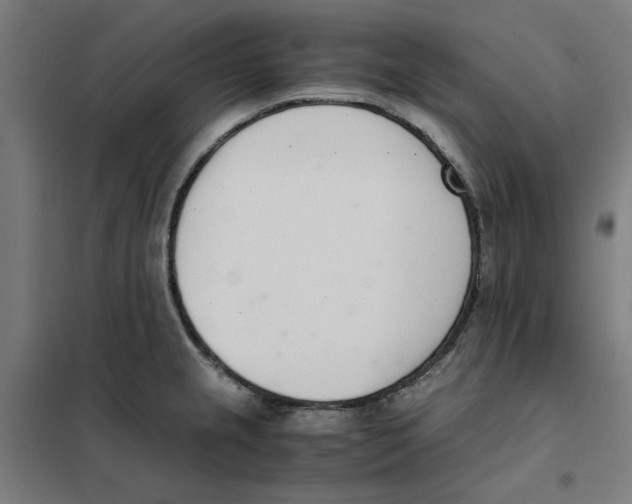 X0000101681237200808071101