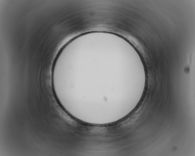 X0000101681238200808071101