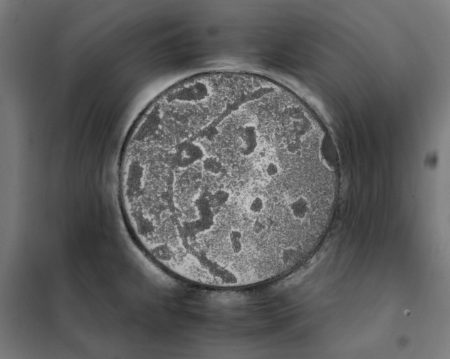 X0000101681239200808071101