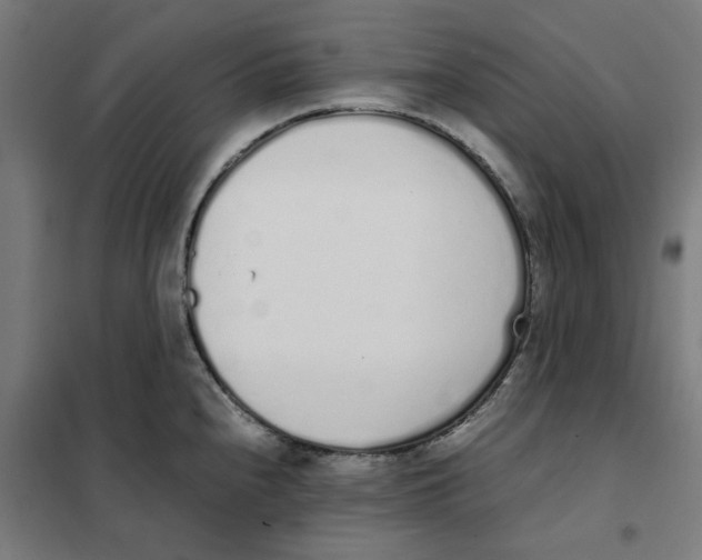 X0000101681240200808071101