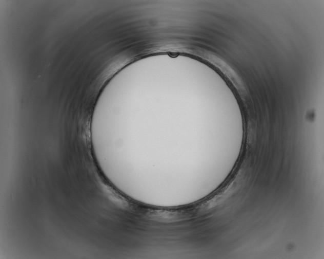 X0000101681241200808071101