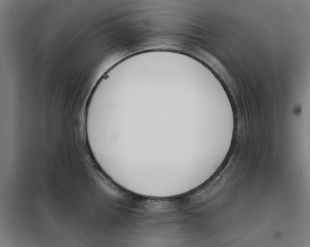 X0000101681242200808071101