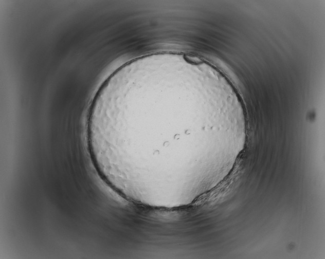 X0000101681243200808071101