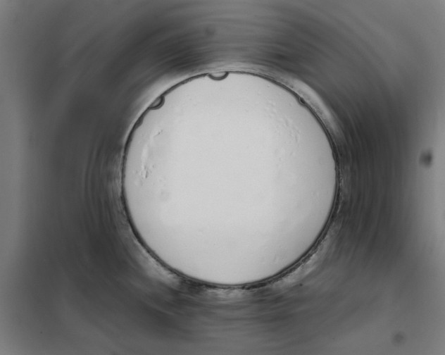 X0000101681244200808071101