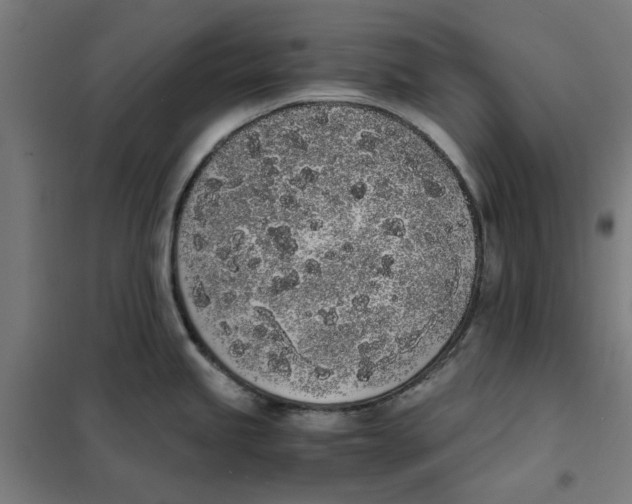 X0000101681245200808071101