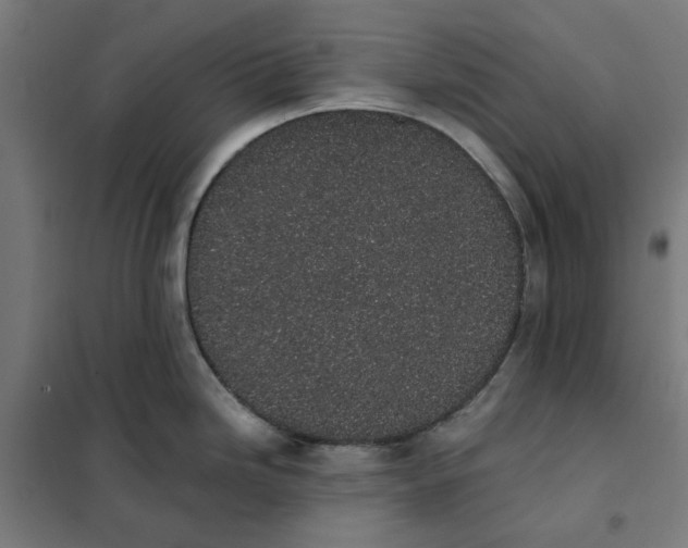 X0000101681246200808071101