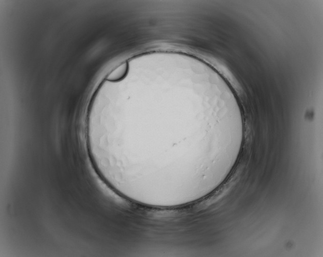 X0000101681247200808071101