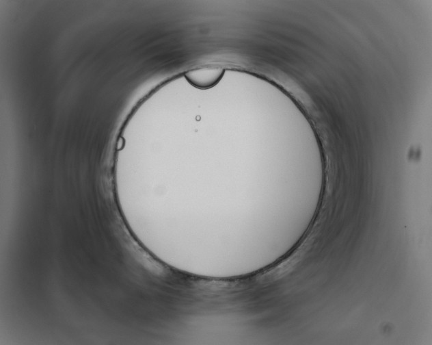 X0000101681248200808071101
