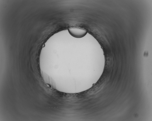 X0000101681249200808071101