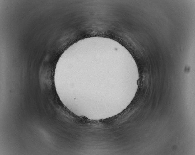 X0000101681250200808071101