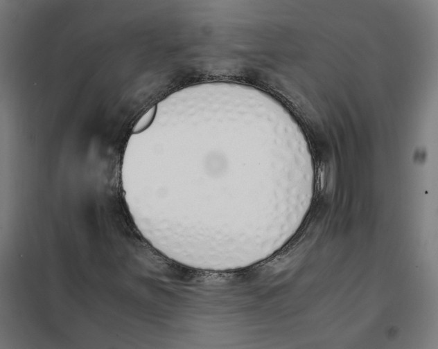 X0000101681251200808071101