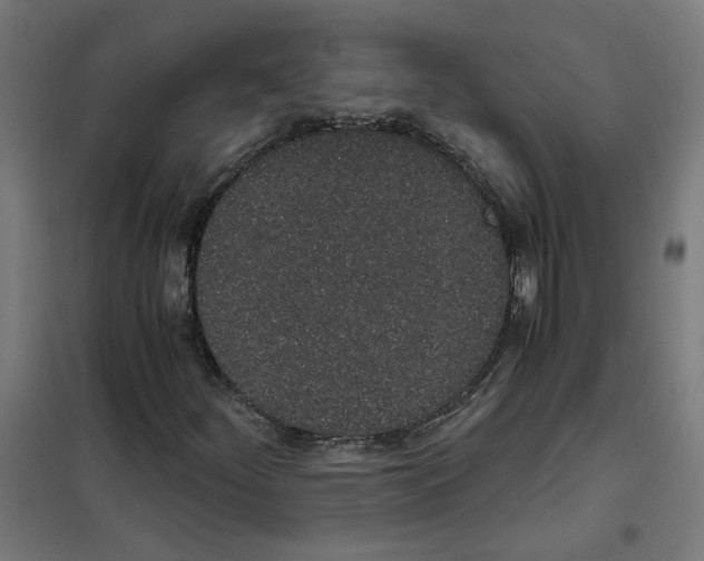 X0000101681252200808071101