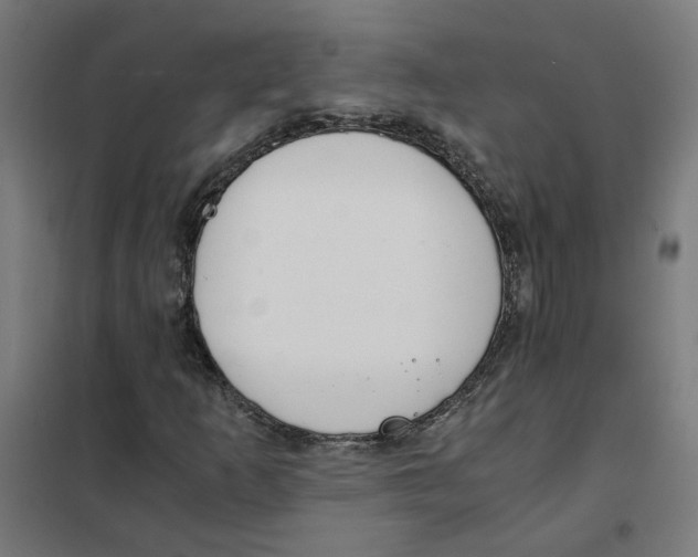 X0000101681253200808071101