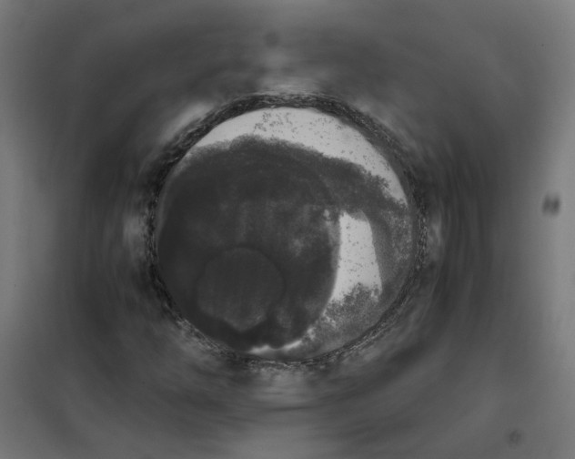 X0000101681254200808071101
