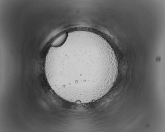 X0000101681255200808071101
