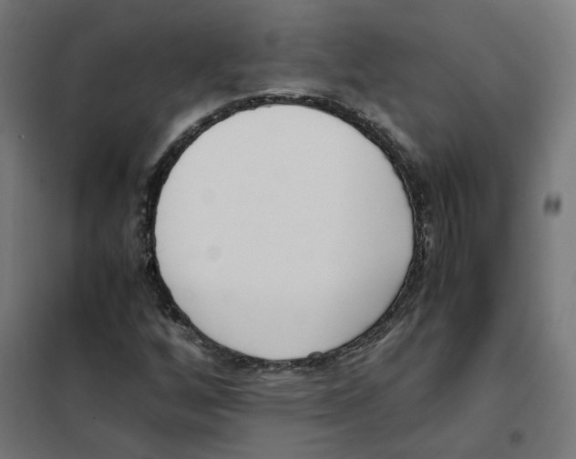 X0000101681256200808071101