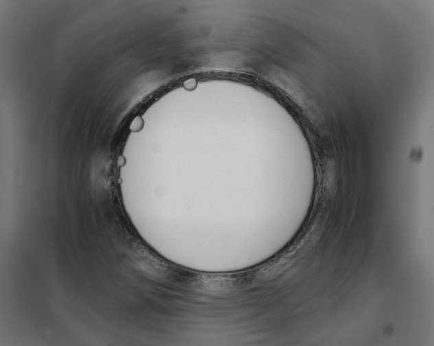 X0000101681258200808071101