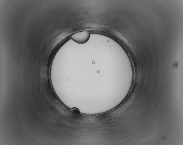 X0000101681259200808071101