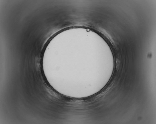 X0000101681260200808071101