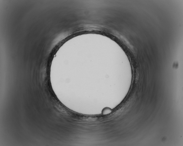 X0000101681261200808071101