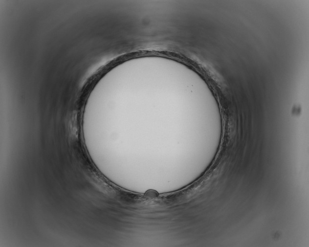 X0000101681262200808071100