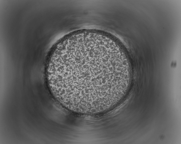 X0000101681263200808071100